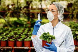 plant nursery botanist using a syringe taking care of potted flowers.